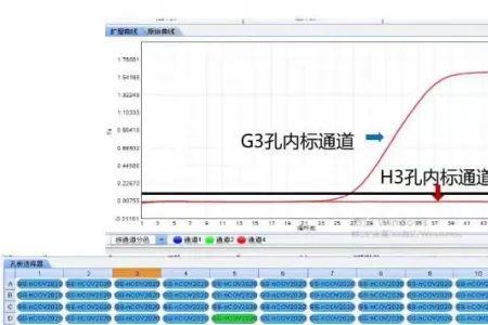 pcr内标是什么