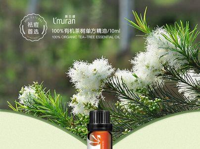 国内澳洲茶树种植多吗