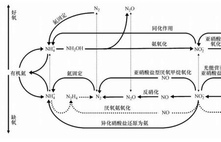 亚硝酸盐氧化成硝酸盐方程式