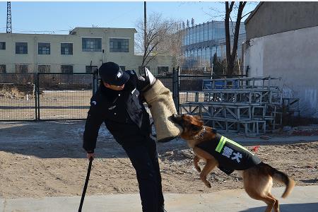 警犬训导员待遇以及相关规定