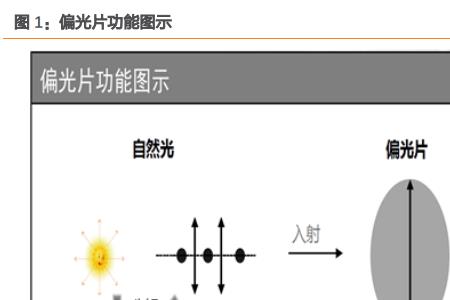 偏振状态的判断依据