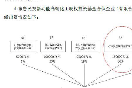 股东出资方式和股权比例