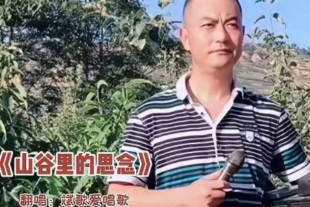 向远方挥挥手原唱完整版