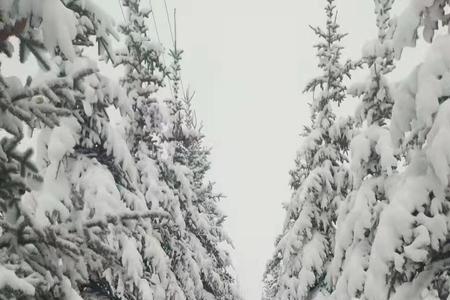 茫茫大雪的意思