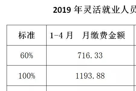 养老金最低缴费基数什么意思