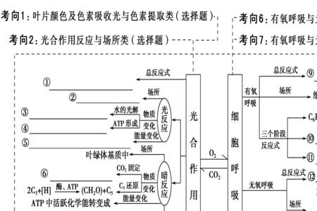 光反应和暗反应是几年级的