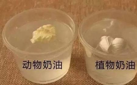 哪种植物奶油好