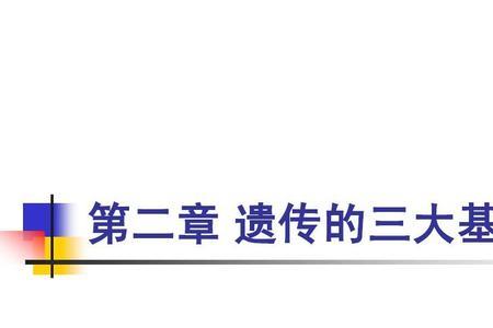 遗传信息本质是什么