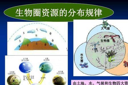 生物差异性是什么