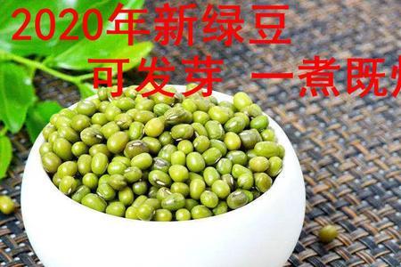 明绿豆和毛绿豆哪种出淀粉多