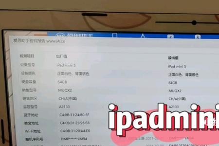 ipadmini5有定位模块吗