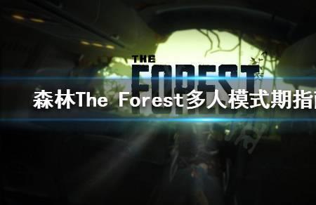 forest联机需要加速吗