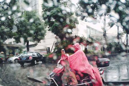 电动车暴晒和淋雨哪个好点