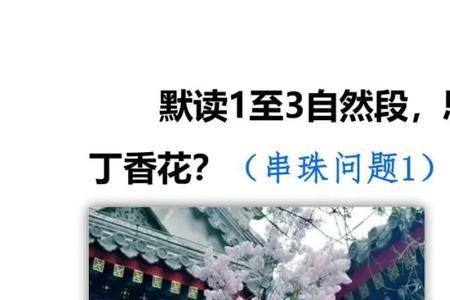 三年级填空题什么丁香花