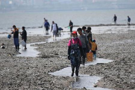 深圳赶海的最佳时间