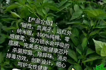 鑫绿叶和绿叶卫生巾是一样的吗