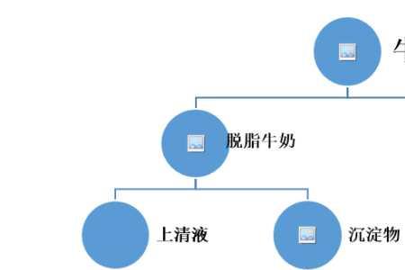 乳清蛋白包括