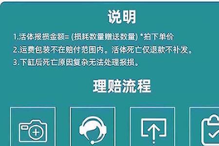 海鱼紫罗兰怎么开口