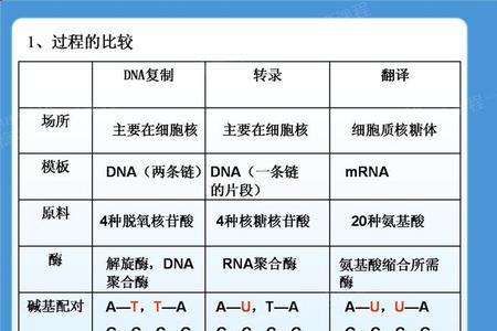 atcg碱基配对公式