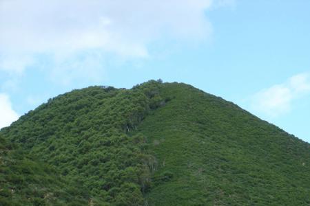 山下来奉读什么