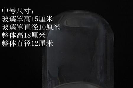 保护文物的玻璃罩叫什么