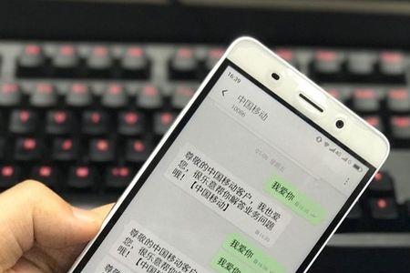 小欢短信验证码是什么