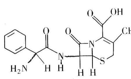 含氯化学分子式