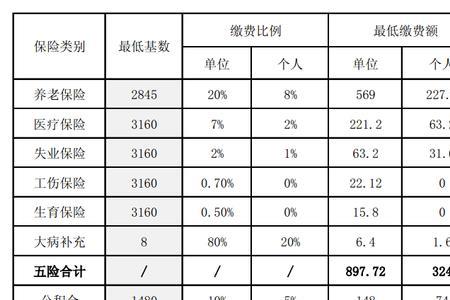 什么是组织社保号