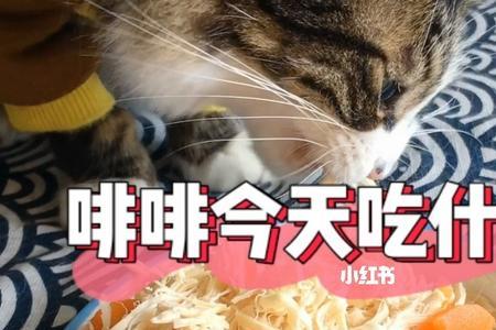 猫咪不吃胡萝卜怎么办