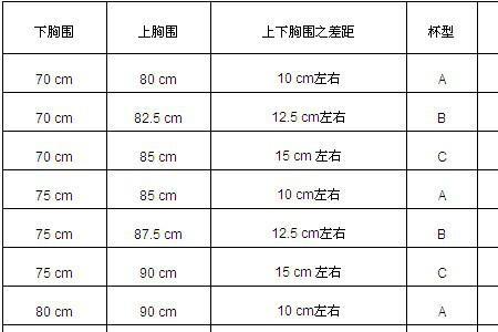 104a衣服胸围尺码对照表