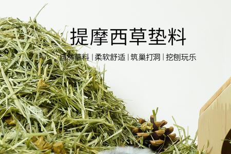 仓鼠的木屑怎么保存