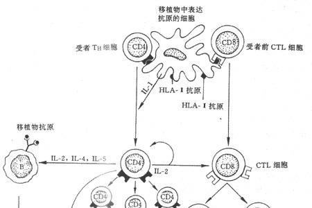 抗拒和排斥有什么不同