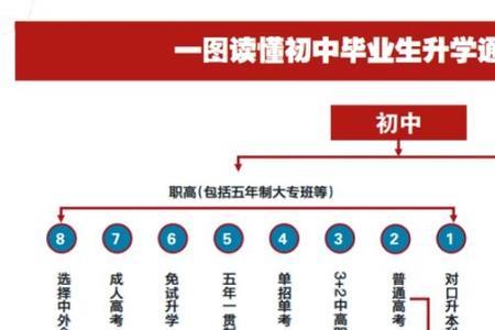 高中教育属于什么教育类型