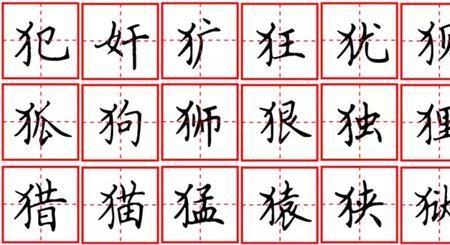 部字旁的字