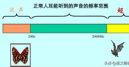 声波和频率的区别