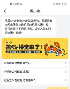 支付宝闲鱼是什么意思