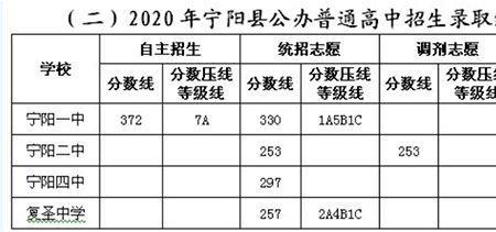 泰安一中211录取率高吗