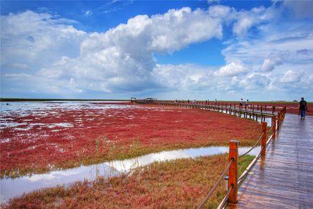 盘锦红海滩什么时候是淡季