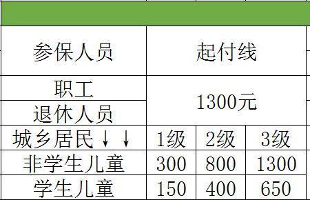 北京医保1800起付线包含自费吗