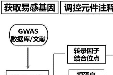 基因挖掘是什么意思