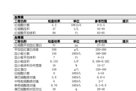 体检结论范本