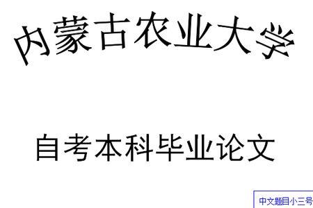 自考学生写的论文老师会看吗