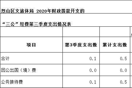 专职消防队所需经费由什么开支