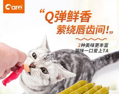 猫咪火腿肠和猫条哪个好