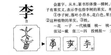 李字开头四字词语