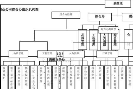 分公司的组织结构有什么要求吗