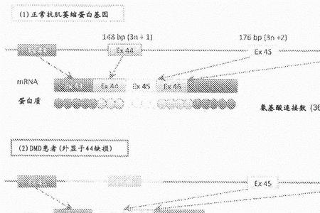 主要的诱导方式方法有