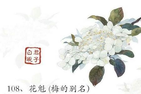 无在古代的别称