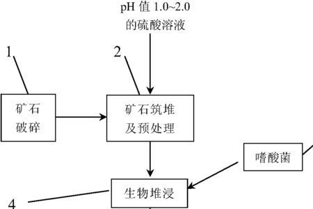 高镁磷矿用途