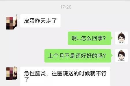 哥哥去外地了怎样安慰自己